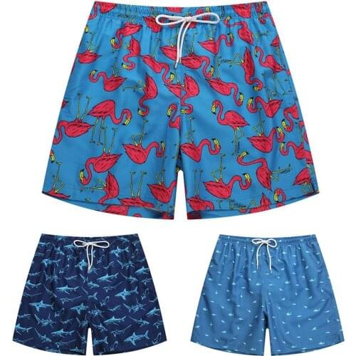 Summer Flamingo Shark Men Shorts Quick Drying Sport Drawstring Beach Swim Trunks