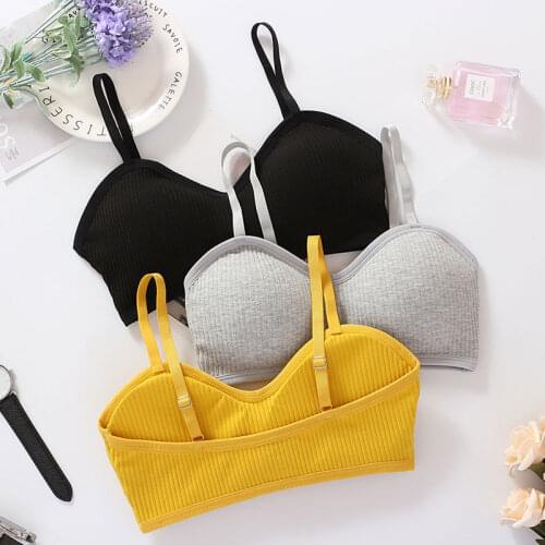 Padding Bralette Push Up Bras For Women Wire Free Bra Brassiere Seamless Underwear Comfort Intimates Female Bra Sexy Lingerie