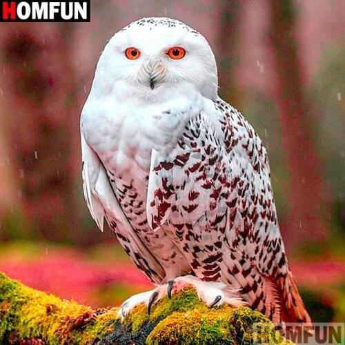 HOMFUN Full Square/Round Drill 5D DIY Diamond Painting "Animal owl" 3D Embroidery Cross Stitch 5D Decor Gift A13308