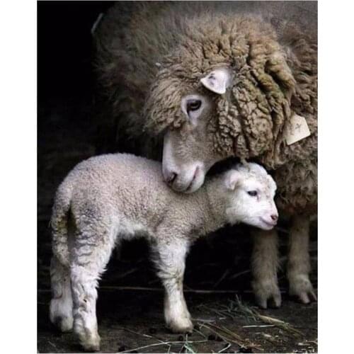 New Arrivals 5D DIY Full Round Diamond Painting Animal Sheep 3D Embroidery Cross Stitch Rhinestone Mosaic Home Decor Art Y299