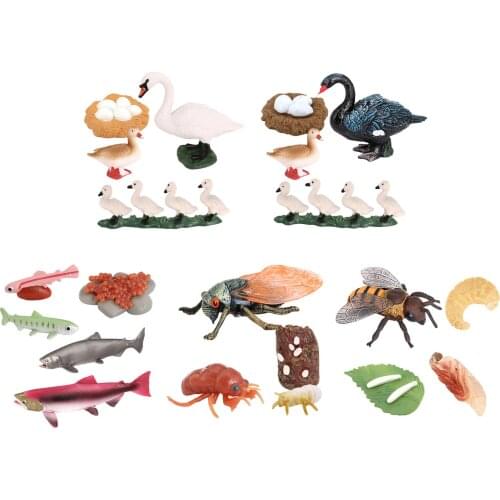 Realistic Animals Life Cycle Model Salmon Toy Kids Children Science Toys