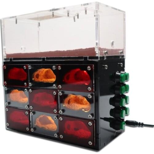 Ecological Ant Farm with Independent Lights Control Anthill Farm Ants Nest Ants Living House Concrete Insect Hotel with Workshop