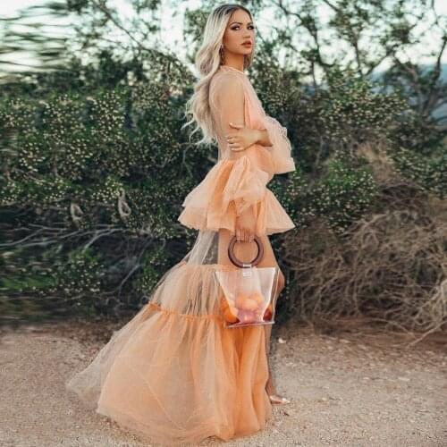 Romantic Sheer Ruffle See Through Mesh Flare Long Sleeve High Slit Crew Neck Maxi Dress