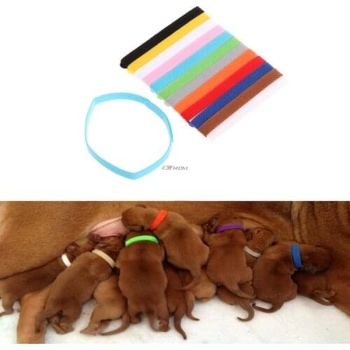 12Pcs/Set Pet Collars Different Colors Soft Identification Mark For Cats Dogs Puppies Kitty Kitten Collars Leads G03 Drop ship