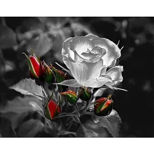 GATYZTORY Diy Painting By Numbers Kits For Adults Rose Flowers Oil Picture Kits Handpainted Coloring By Numbers For Home Gift