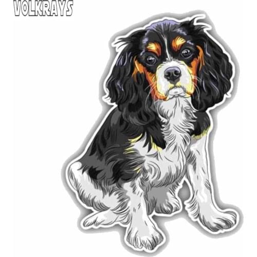 Volkrays Lovely Car Sticker Sitting Cavalier King Charles Spaniel Breed Dog Accessories High Quality PVC Decal for VW,15cm*11cm