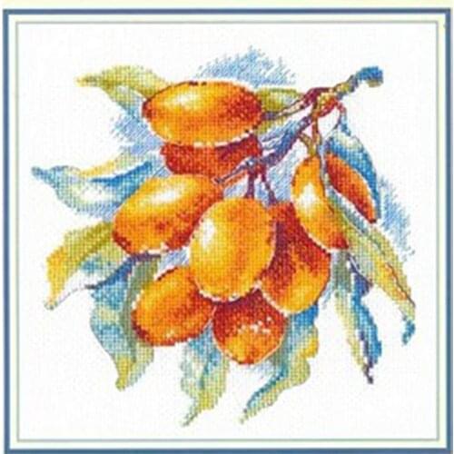 ZZ5162 For Needlework Kit NOT PRINTED Cross stich Painting Set Cross Stitch Kits Cross-stitch Embroidery Set Stitch Kits Cross