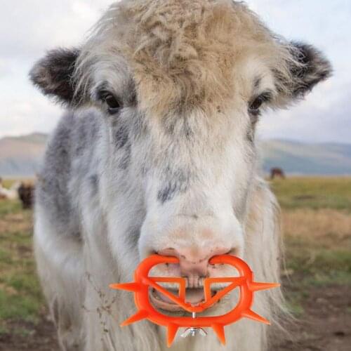 Cow Nose Weaner Calf Cattle Nose Clip Plastic Cow Nose Thorn Weaning Tool For Stopping Milking