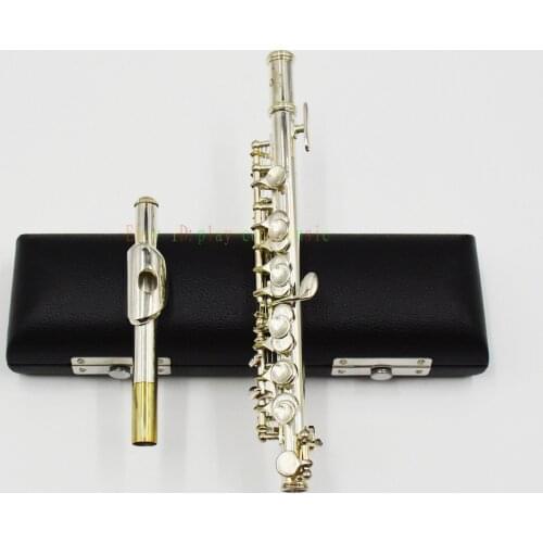 Piccolo silver Plate C tone with leather case