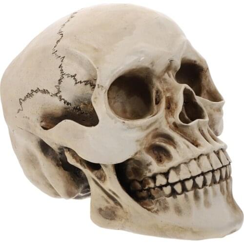 1Pc Horror Unique Modelling Decor Resin Simulated Teaching Tool