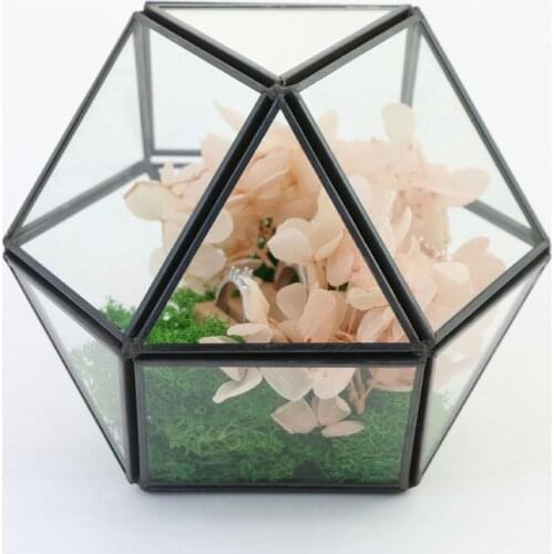 Glass Geometric Geometric Terrarium Home Tabletop Decor Can Pentagon Regular Planter for Succulent Fern Moss Air Plants Miniatur