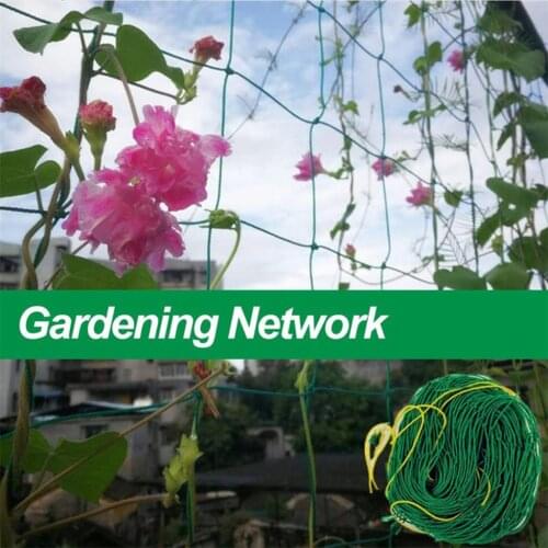 Fruit Vegetable Flower Vine Plants Climbing Net Garden Cucumber Plaid Netting