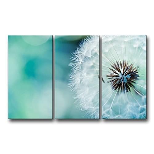 3 piece Wall Art Painting Nature Flowers Dandelions White Flowers Prints On Canvas The Picture Flower Pictures Drop shipping
