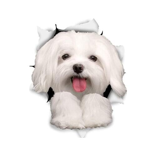 Funny 3D Maltese Dog Puppy Beach Travel Towels for Adult Kid Cute Breakout Dogs Swimming Shower Bath Towels for Pet Lover Gifts