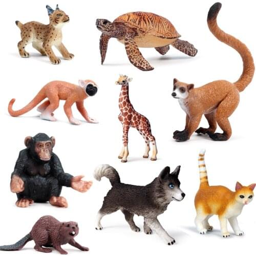 New DIY Wild Jungle Zoo Animal Models Action Figures Monkey Cat Dog wolf Collection Model Doll Educational Toy for Children Gift