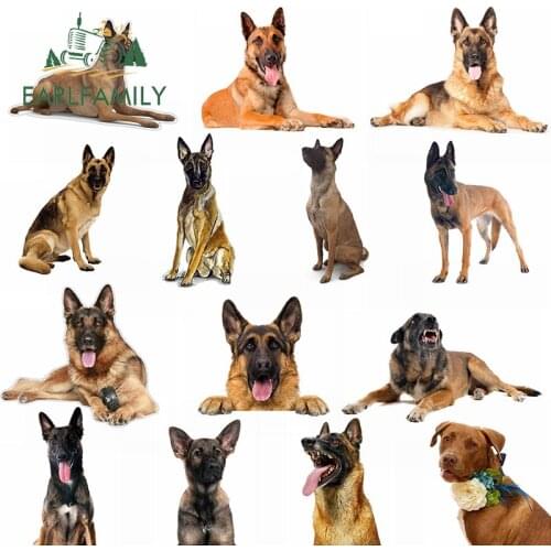 EARLFAMILY 13cm Car Stickers for Belgian Shepherd Malinois Police Rescue Guard Dog Graphics Funny Bumper Wall Laptop Decals