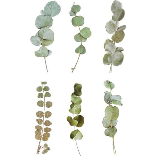 Large PET Stickers Weekend Flower Shop Series Plant Handbook Diary DIY Material Sticker 6 Into 8 Styles Notebook Stickers