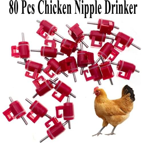 80PCS Poultry Nipple Drinker Ball Type For Chicken Cage Spare Part Waterer Drinking Fountain Automatic Farming Tools Supplies