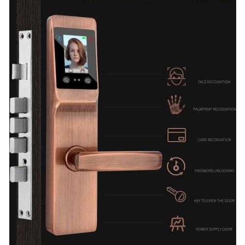 Smart Biometric Face Recognition/Palm Unlock Door Lock Security Digital Fingerprint Lock With Password Mechanical Key RFID Card