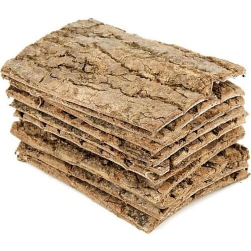 Wild Cortex Eucommiae Du Zhong Pi Eucommia Bark Eucommia Ulmoides