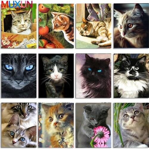 New Full Square Diamond Painting Cat 5D Diamond Embroidery Animal Mosaic Picture Of Rhinestone Home Decoration Girl Hobby Rp478
