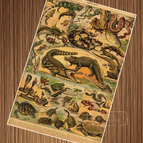 Adolphe Millot Reptiles Snakes Crocodile Illustration Retro Vintage Kraft Poster Canvas Painting Wall Sticker Home Decor Gift
