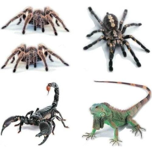 3D Car Sticker Animals Bumper Spider Gecko Scorpions For Renault Kangoo DACIA Scenic Megane Sandero Captur Twingo Modus Koleos