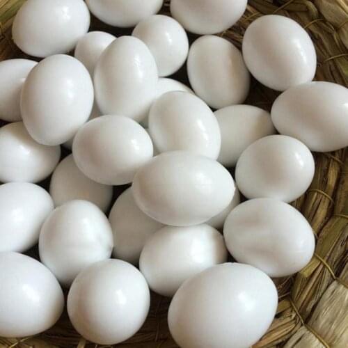 10pcs Solid Fake Pigeon Eggs White High Quality Plastic Hen Nest Crock Dummy Fake Egg for Nurture Young Birds Pet Supplies