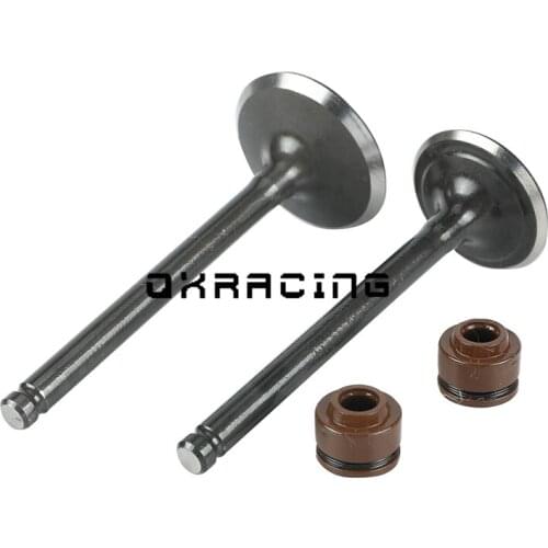 Motorcycle Intake exhaust valves with Oil Sea kit For 52.4mm Bore lifan 125cc Horizontal Engines Dirt Pit Bikes Parts ATV PARTS