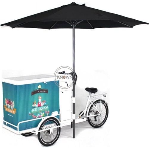 Electric Ice Cream Bike Street Adult Freezer Tricycle Mobile Fridge Trike 3 Wheel With Water Sink