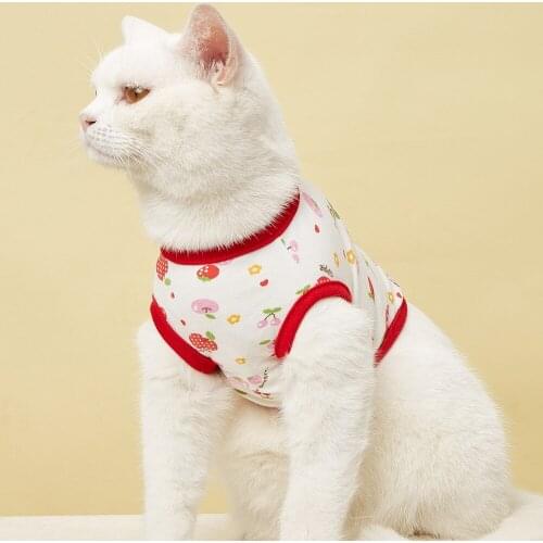 2021 Dog Spring and Summer Clothes Cartoon Fruit Print Pet T Shirt Cotton Puppy Undershirt Puppy Clothes