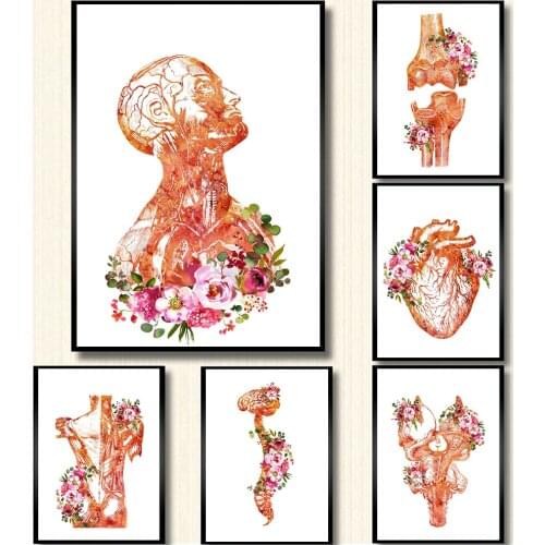 Flower Breast Uterus Kidney Liver Anatomy Wall Art Canvas Painting Nordic Posters And Prints Wall Pictures For Doctors Office