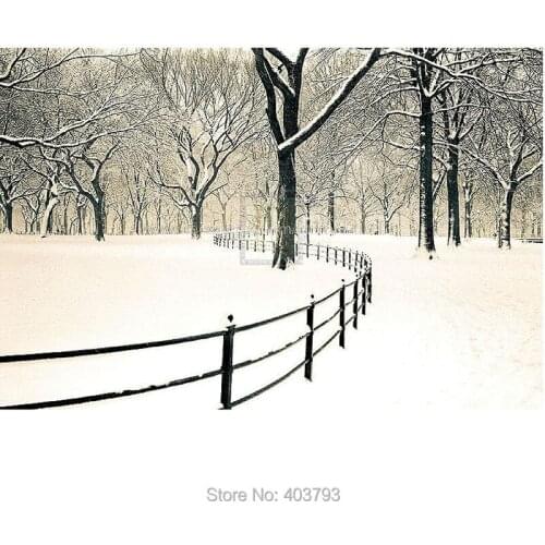 Unframed Central Park Snow Landscape oil painting Or Various Sizes Hand Painted Famous Modern Wall Decoration