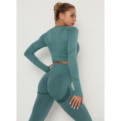Women Fitness Tracksuit Running Sports Sets Long Sleeve Yoga Tops Sets Workout Clothes Seamless Gym Yoga Suits Two Pieces Sets