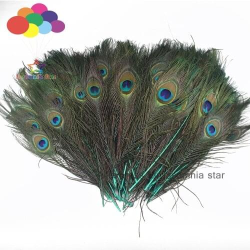 100 Pcs mint 25-30 cm Gifts Peacock Eye Tail Feather Masquerade Decoration Party