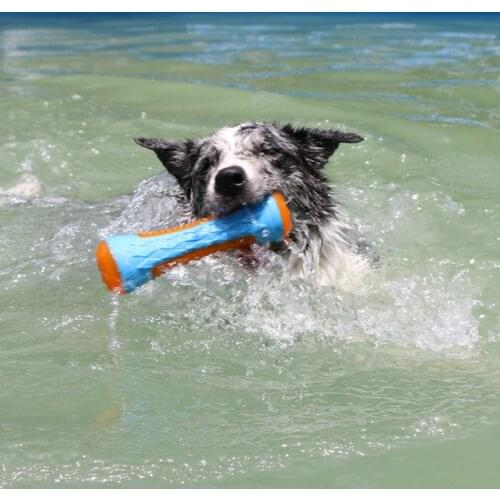 Pet Training Ball Toys Dog Water Floating Training Toys Throwing Flying Disc Interactive Toy For Small Medium And Large Dogs 2
