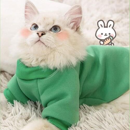 Cat Clothes Pet Dog Clothes Solid Color Cute Shape Two-legged Cat Sweater Hoodie for Puppy Dogs