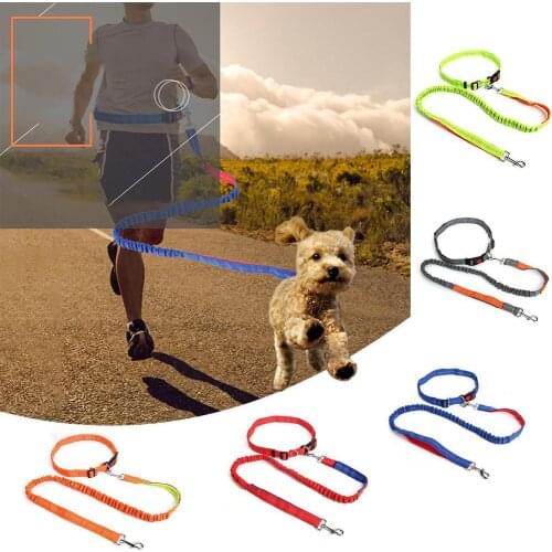 1PC Nylon Dog Pet Puppy Cat Adjustable Harness with Lead Leash Chain Elasticity Dog Collar Rope Interactive Toy