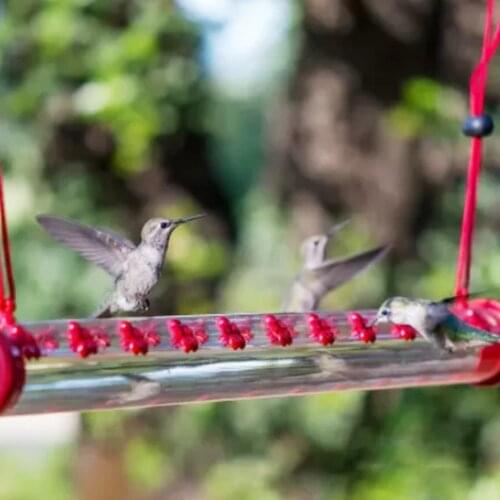 Annas Best Hummingbird Feeder with Hole Birds Feeding Transparent Pipe Easy to Use Household Garden Feeding Supplies