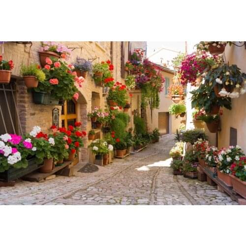 JMINE Div 5D street house flower Full Diamond Painting cross stitch kits art High Quality Scenic 3D paint by diamonds