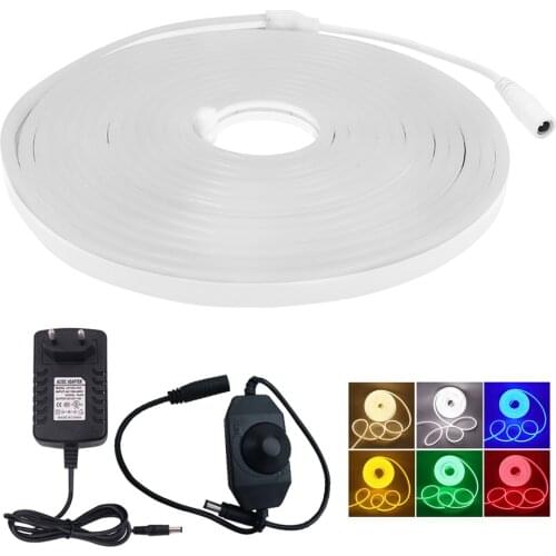 12V Neon Strip Light With Knob Dimmer Switch 2835 120Leds/m Waterproof Neon Light Sign EU US UK AU Kit Flexible Neon Ribbon Tube