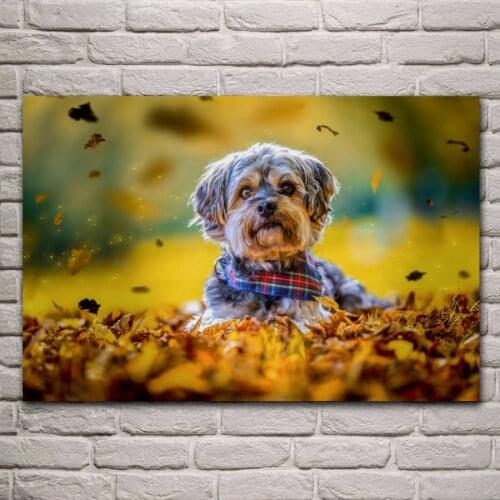 Dog and Fall Leaf animal nature harmony artwork living room decoration home wall decor art print wood frame fabric poster KH406
