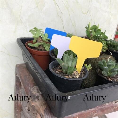 Multi-color plastic gardening T label flower seeding small sign, green plant succulent potted plant insert card