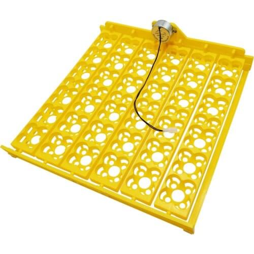 Egg Incubator Automatic 36 156 Plastic Bird Eggs Duck Chicken Eggs Hatching Machine 220V Incubator Trays with Auto Turn Motor