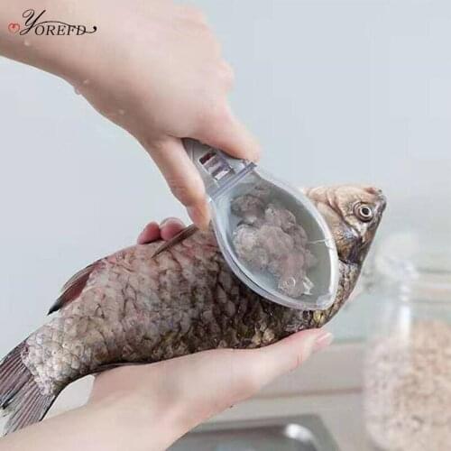 OYOREFD Instruments For Seafood
