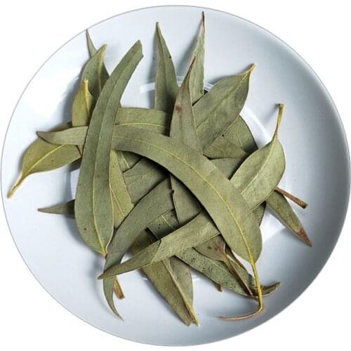 Eucalyptus Dry Leaves Leaf Asthma Air Purifier