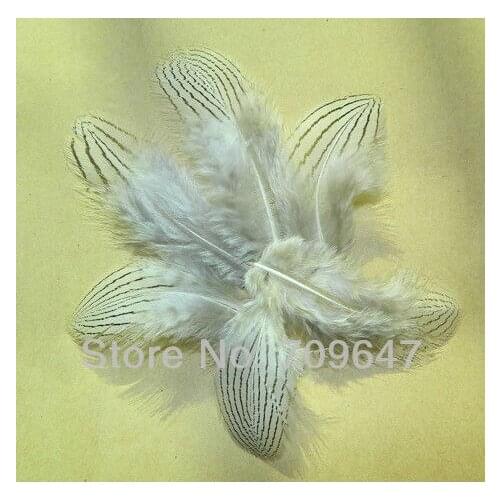Plumas Decoracion! 100pcs/lot 4-7cm Hand Selected SILVER PHEASANT BODY PLUMAGE FEATHERS Natural White Black Fly/Fishing/Craft