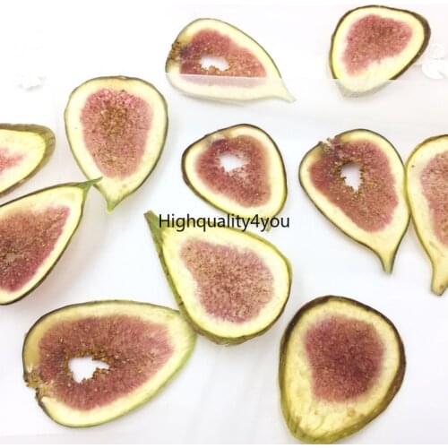 10pcs Dried Pressed Teardrop Ficus Carica Linn. Slices Plant Herbarium For Jewelry Photo Frame Phone Case Bookmark Postcard DIY