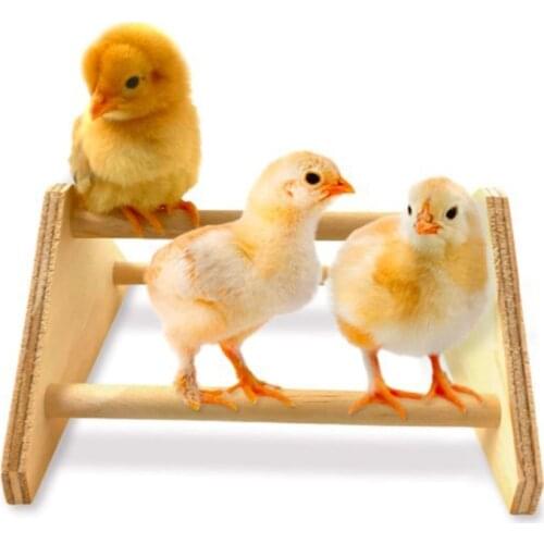 Chick Perch Small Wood Bird Stand Perch Natural Wood Stand Training Toys Climbing Pecking Toy for Birds Cage Accessories