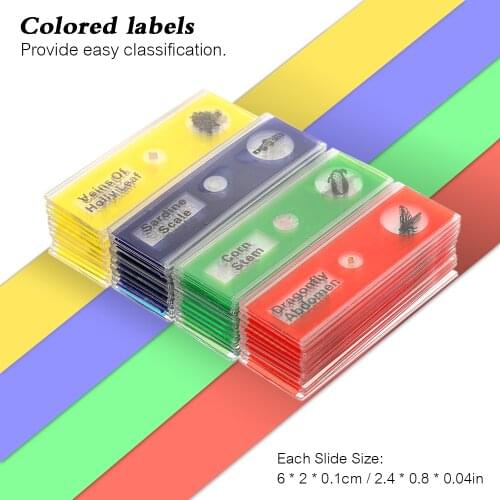 48pcs/set Plastics Prepared Microscope Slides Animals Insects Plants Sample Specimens Slides Set with Color Labels for Students